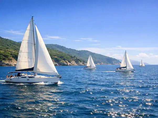 Yachts sailing away from a coast
